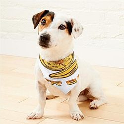 Outer Banks Pogue Life Pet Bandanas Premium Merch Store