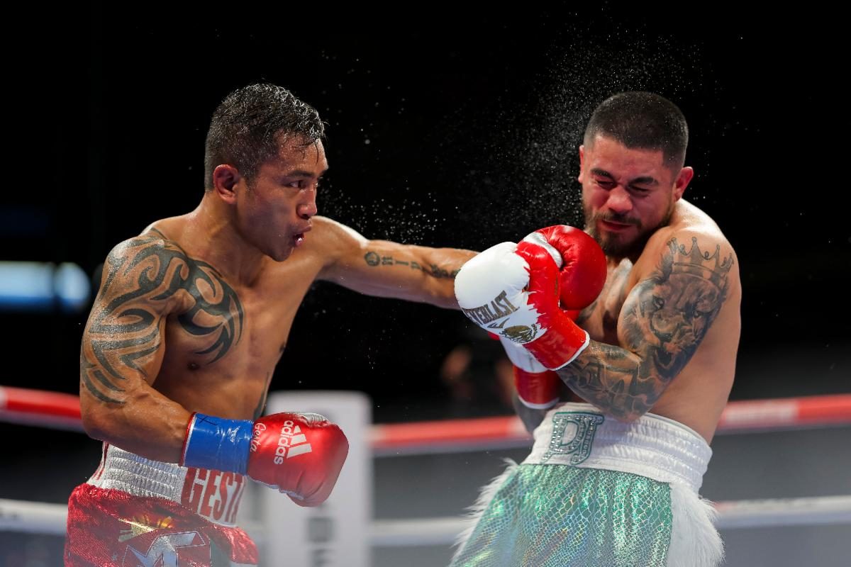 Joseph Diaz Jr Official Store: Gear Up Like a Champion Boxer