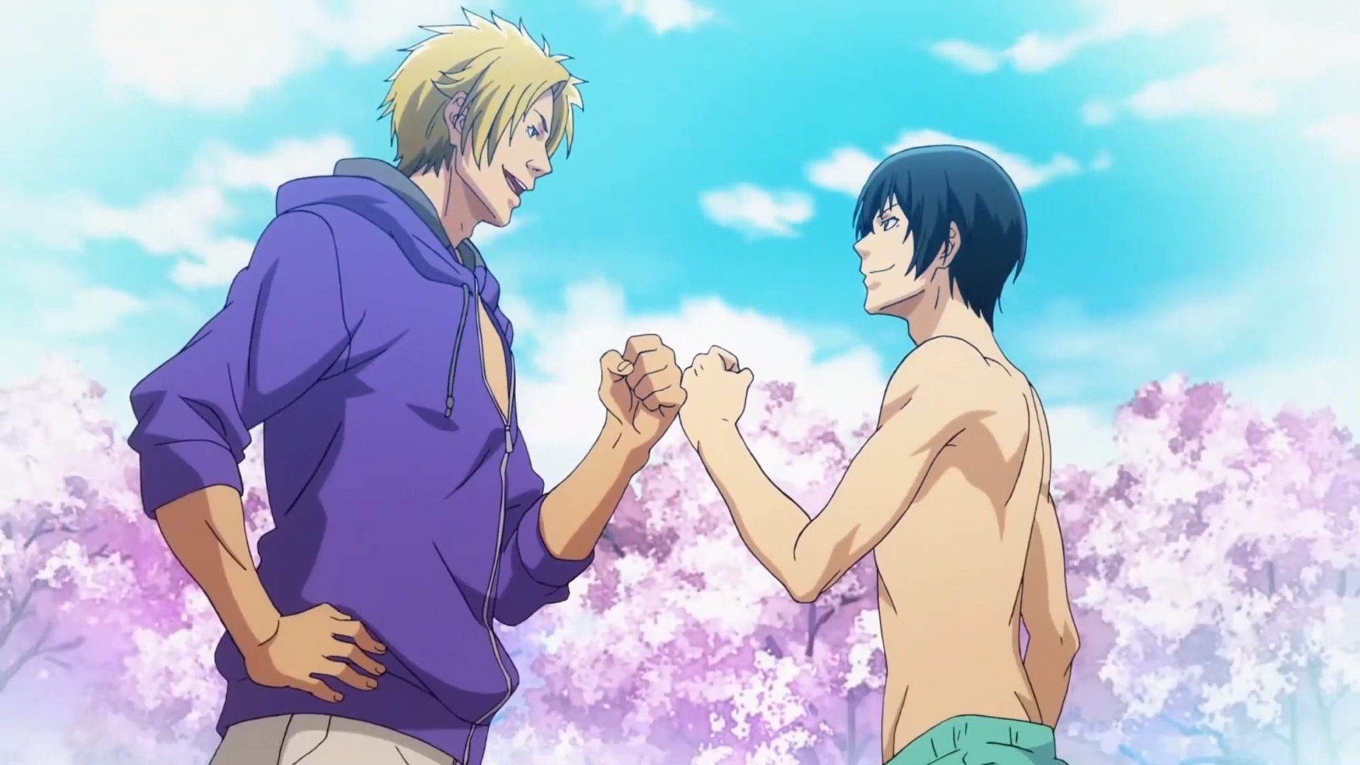 Grand Blue Dreaming Merch: 7 Must-Have Picks for Series Fans