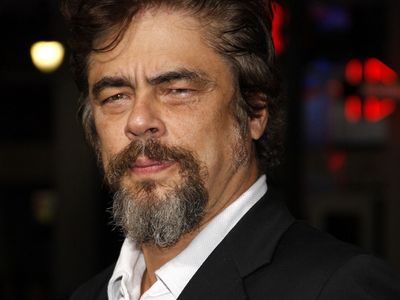 Benicio Del Toro Official Shop: Behind the Scenes of a Star