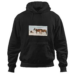 Wild Horses Of The Outer Banksss Panorama Hoodies