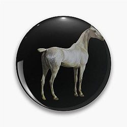 Horse Quote: "Won't you ride my horse" Ozzy Osbourne Pin