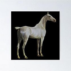 Horse Quote: "Won't you ride my white horse?" ~ Ozzy Osbourne Poster
