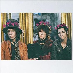 palaye royale hearts Poster