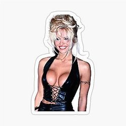 Vintage Pamela Anderson Stickers