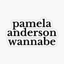 In love with Pamela Anderson