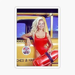 Pamela Anderson Vintage Sticker
