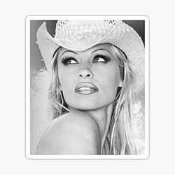 Pamela Anderson black actor star