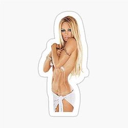 Pamela Anderson - 90s Sticker