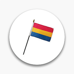 Pansexual Flag Signature Pansexual Flag Pins