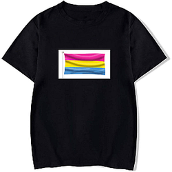 Pansexual Flag 2 Pansexual Flag T-Shirts