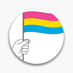 Pansexual Flag Limited Collection Pansexual Flag Pins