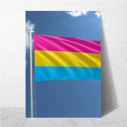 Pansexual Flag Pride 2 Pansexual Flag Posters