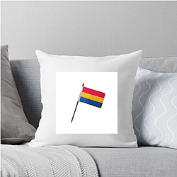 Pansexual Flag Signature Pansexual Flag Pillows Cover