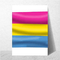 Pansexual Flag 2 Pansexual Flag Posters