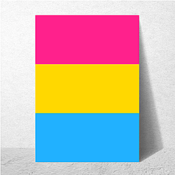 Pansexual Flag 1 Pansexual Flag Posters