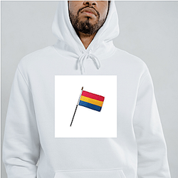 Pansexual Flag Signature Pansexual Flag Hoodies