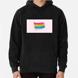 Pansexual Flag Pride 4 Pansexual Flag Hoodies