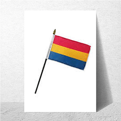 Pansexual Flag Signature Pansexual Flag Posters