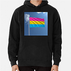 Pansexual Flag Pride 2 Pansexual Flag Hoodies