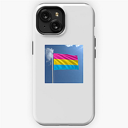 Pansexual Flag Pride 2 Pansexual Flag Cases