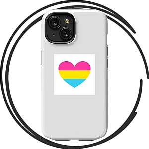 Pansexual Flag Cases