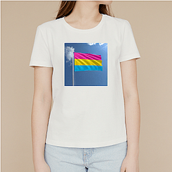 Pansexual Flag Pride 2 Pansexual Flag T-Shirts