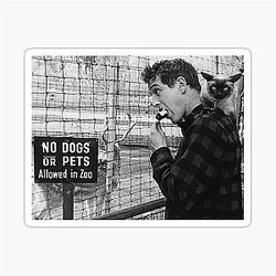 Paul Newman & cat Sticker