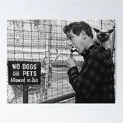 Paul Newman Poster