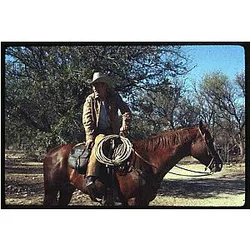 Paul Newman Western Clothes on Horse Original 35mm Photo 1971
