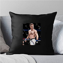Paul Felder Limited Collection Paul Felder Pillows Cover