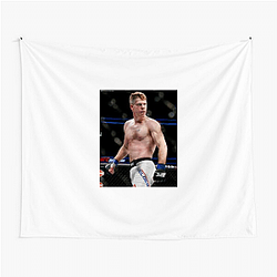 Paul Felder Limited Collection Paul Felder Tapestries