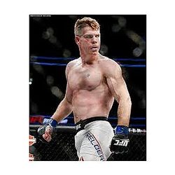 Paul Felder Limited Collection Paul Felder Posters