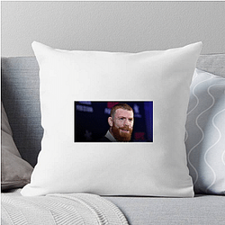 Paul Felder Special Collection Paul Felder Pillows Cover