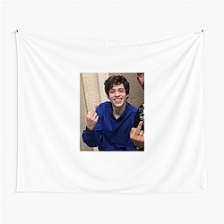 Pete Davidson is known for being on Saturday Night Live Pete Davidson Tapestries