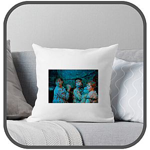 Peter Pan Pillows Cover