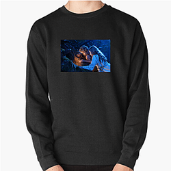Peter Pan Beyond The Second Star To The Right Peter Pan Sweatshirts