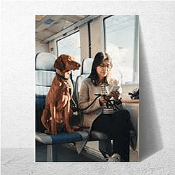 Police Dog Pets On A Train Posters