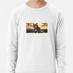 Raccoon Rogue Pets On A Train Sweatshirts