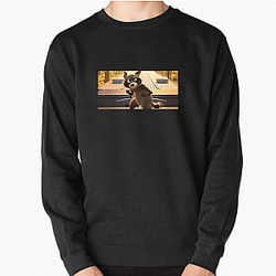Raccoon Rogue Pets On A Train Sweatshirts