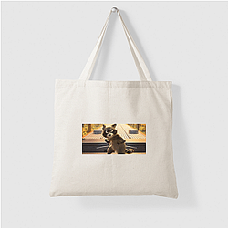 Raccoon Rogue Pets On A Train Bags