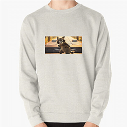 Raccoon Rogue Pets On A Train Sweatshirts