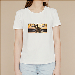 Raccoon Rogue Pets On A Train T-Shirts