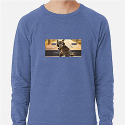 Raccoon Rogue Pets On A Train Sweatshirts