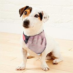 Pewdiepie Slap Edition Pet Bandanas Premium Merch Store