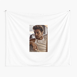 Peyton Meyer Girl Meets World Style Peyton Meyer Tapestries