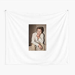 Peyton Meyer Lucas Friar Aesthetic Peyton Meyer Tapestries