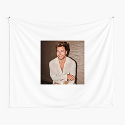 Peyton Meyer American Housewife Look Peyton Meyer Tapestries
