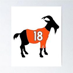 Peyton Manning Poster