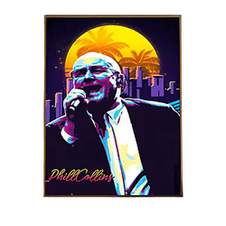Beautiful Sunset DTNK2707 Phil Collins Posters